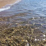 Eugenia Ferienhaus Romanos (Messenia)