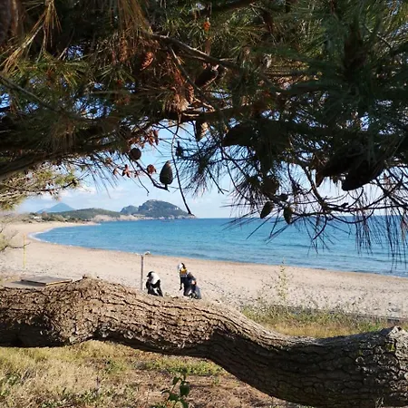Eugenia * Romanos (Messenia)