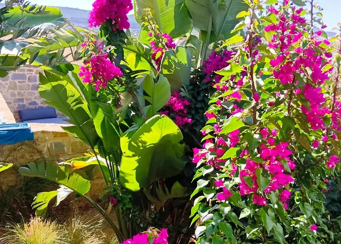 Eugenia Holiday home Romanos (Messenia)